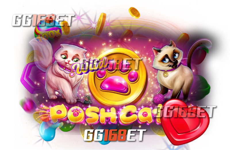 เกมสล็อตที่จะมาแนะนำให้รู้จักกันวันนี้คือเกมสล็อตน้องแมว Posh cat จากค่ายสล็อต Platipus ทดลอง เล่นได้ฟรี เล่นได้เพลินๆ